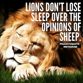 Lions Don't Lose Sleep